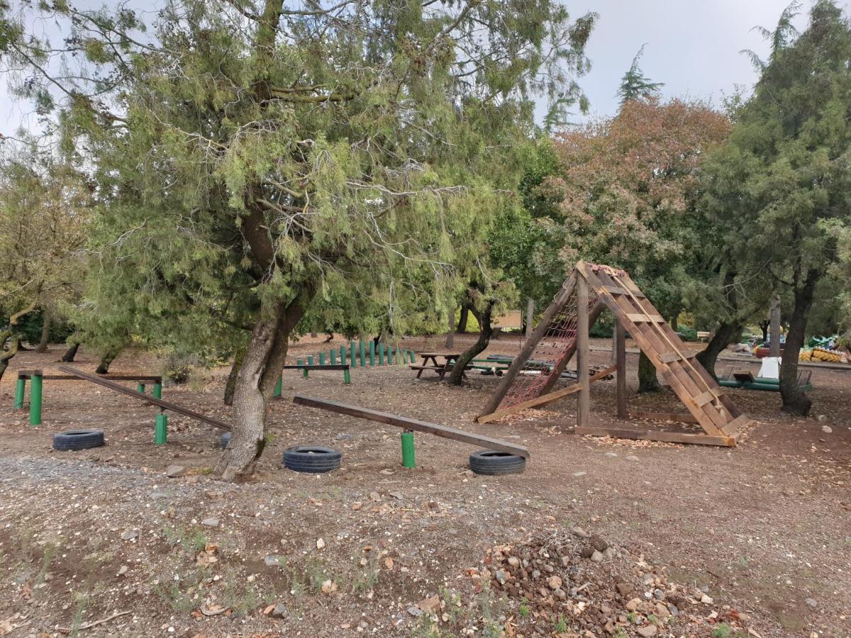 פינה חמה ברמה Apartment Ein Zivan Exterior photo