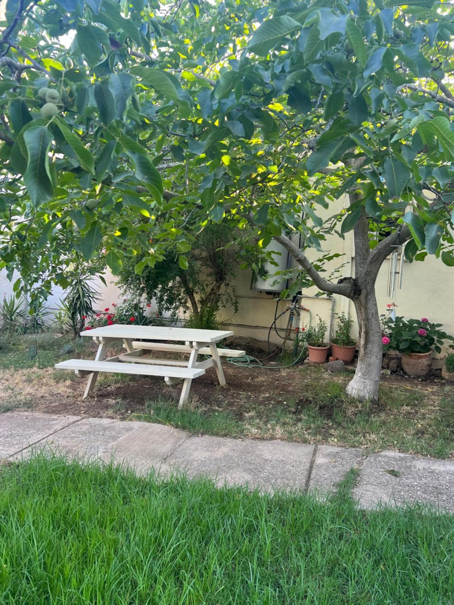 פינה חמה ברמה Apartment Ein Zivan Exterior photo